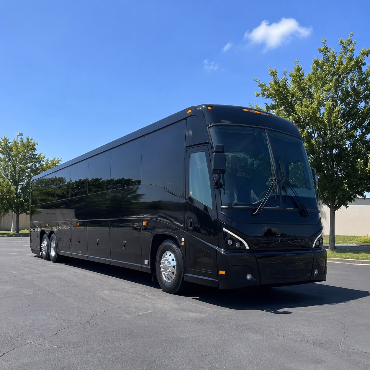 las vegas group trips from sunnyvale compare buses before the calendar fills